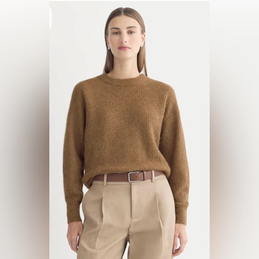 Everlane Fuzzy Alpaca Cocoon Crewneck Sweater